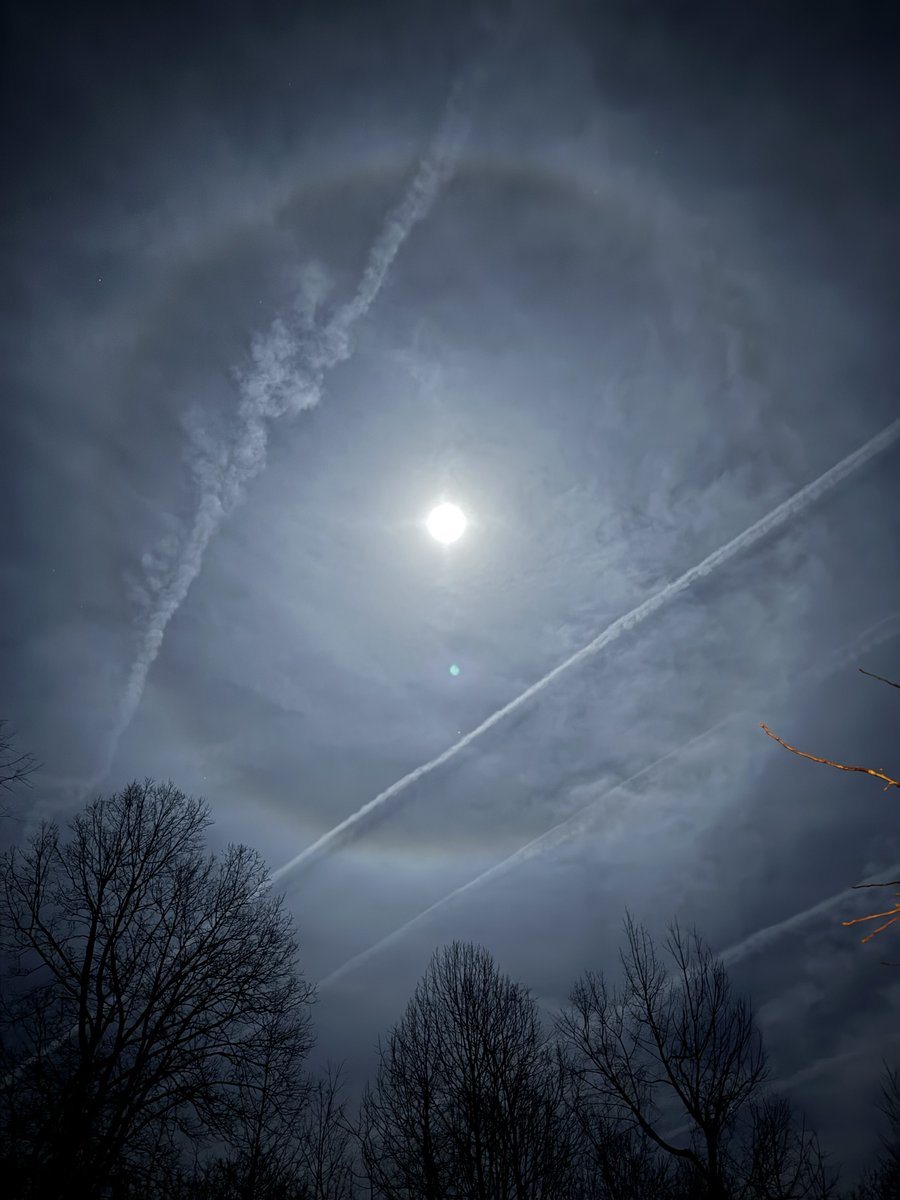 ThinkMud's tweet image. Good night moon 🌕 👁️