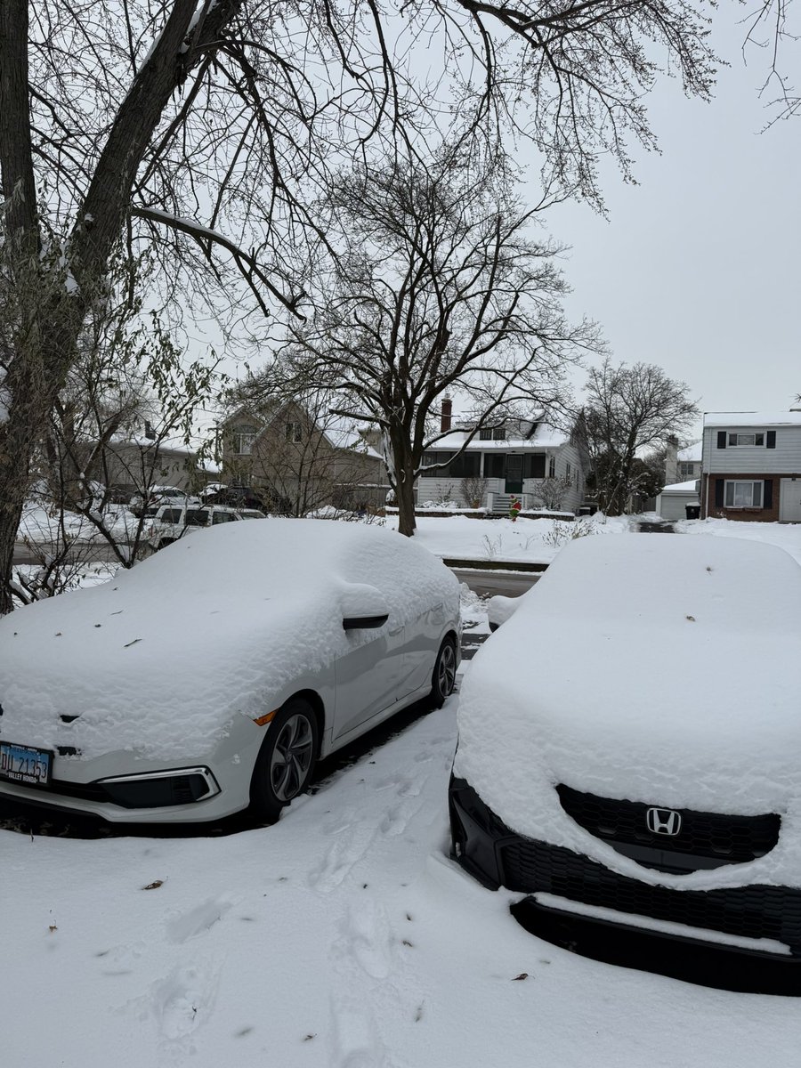 MattWight tweet media