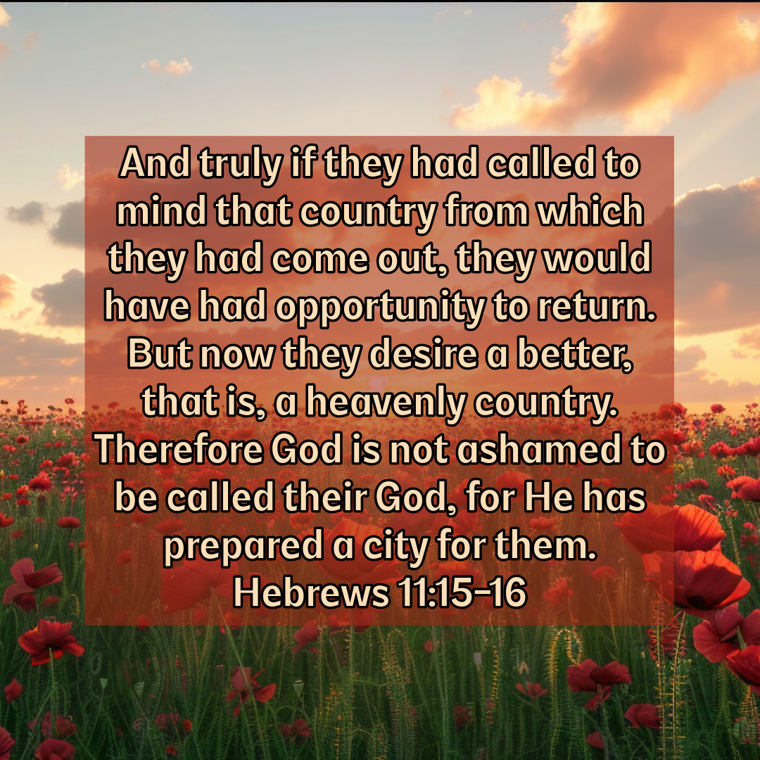 It’s important to not look back at what you came out of or where you came from with longing, but look forward and focus on God‘s promises and plan.

#God #Heaven #Christian