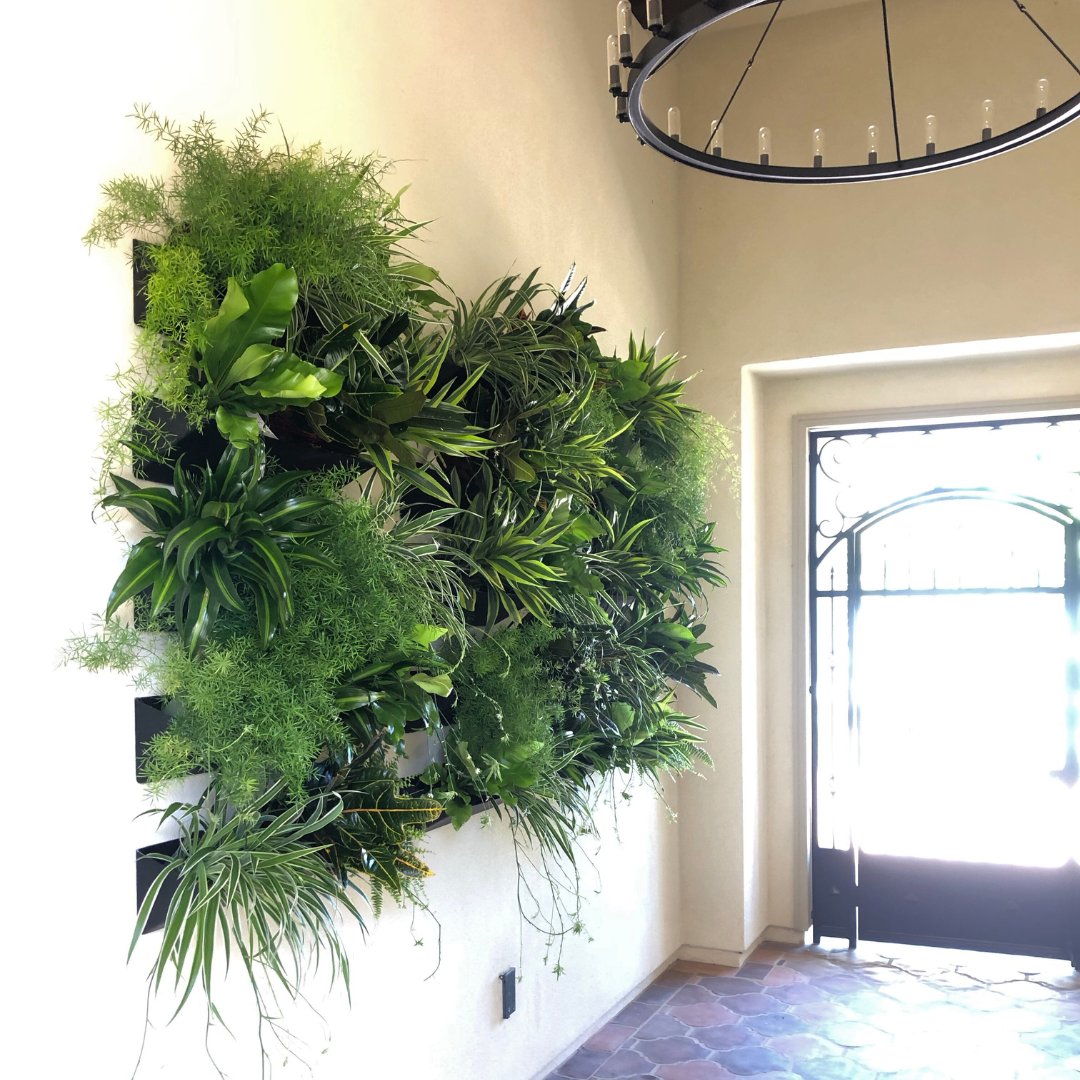 Greenleaf IPS tweet media