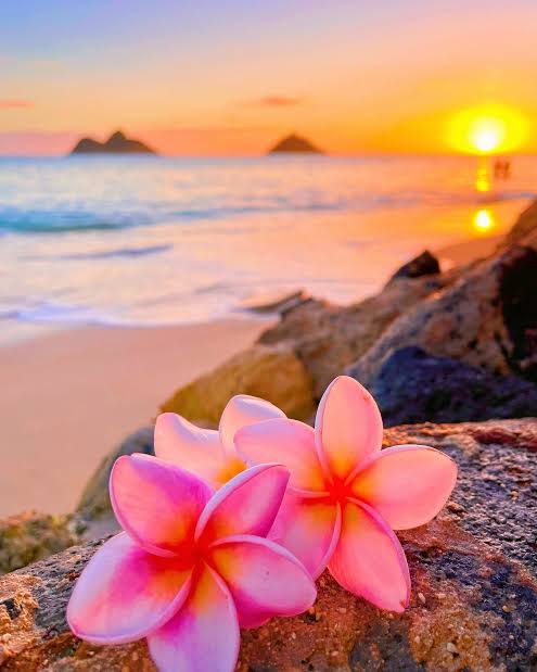 ताकत अपने लफ्जों में डालो आवाज में नहीं,
क्योंकि फसल बारिश से उगती है बाढ़ से नहीं!

Good Morning X Family🌈Tm........