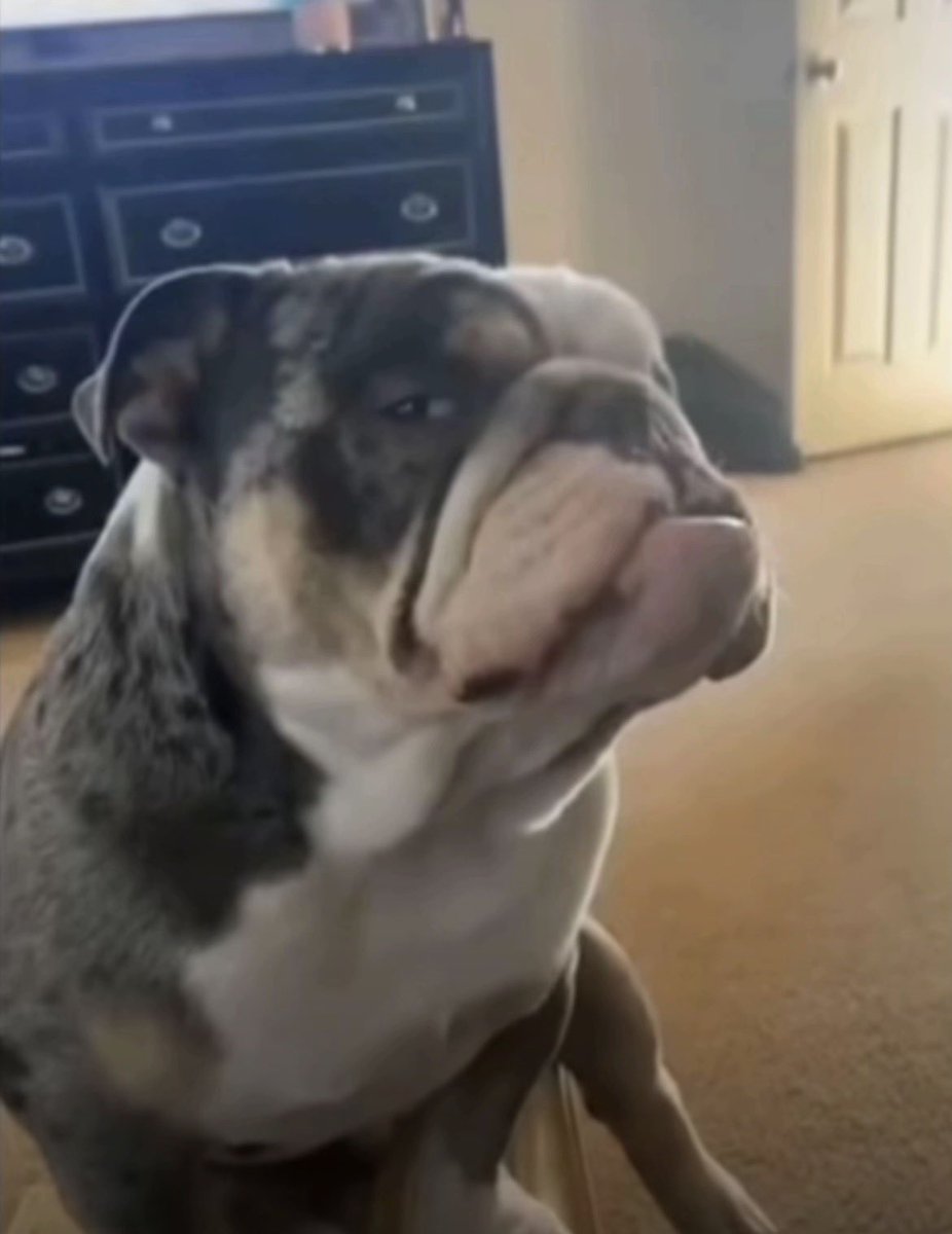 Oofigator tweet media