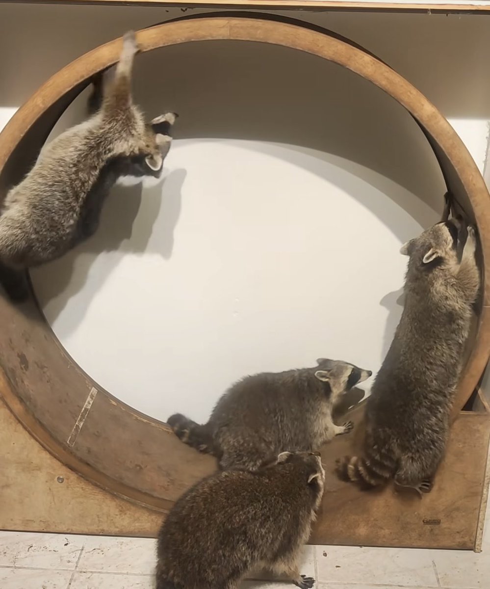 師走てんてこまいでむはあ！