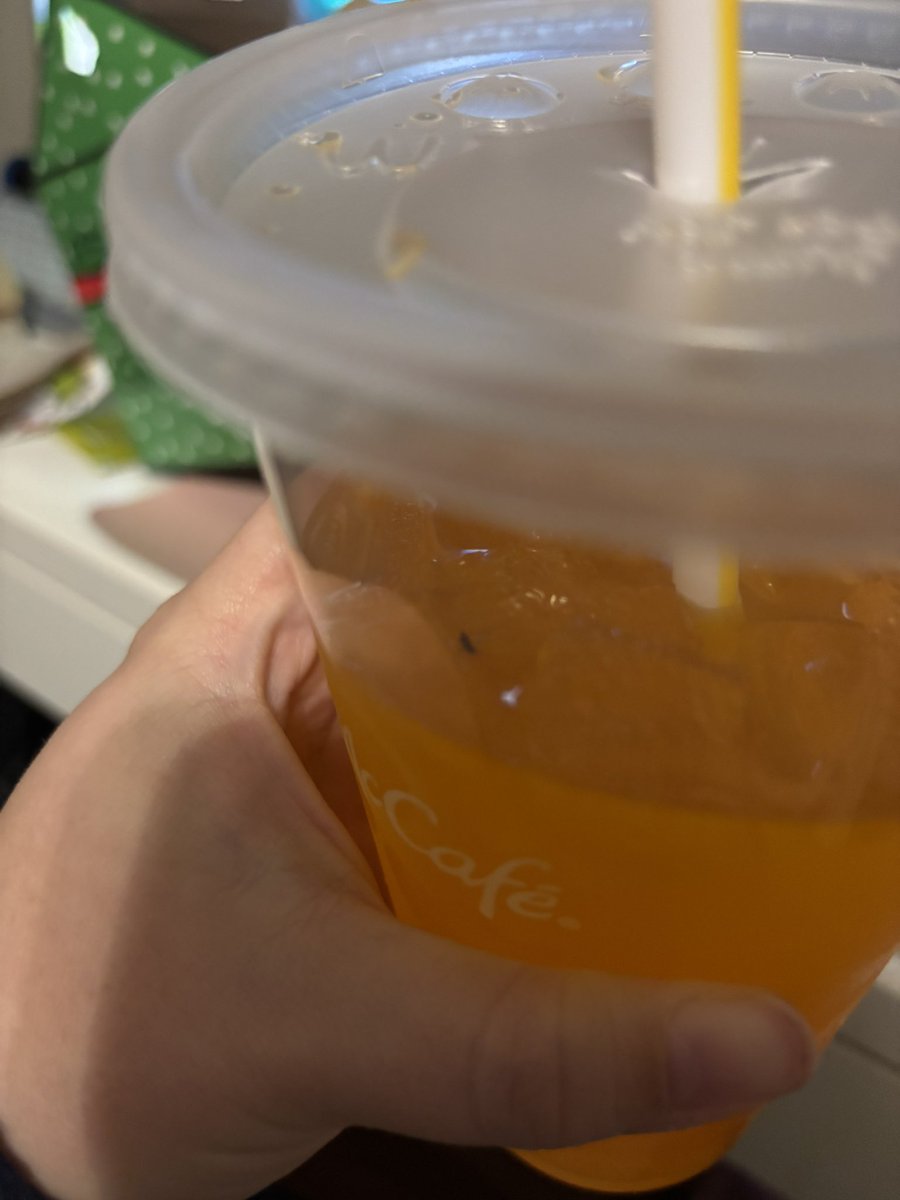 krystalane09's tweet photo. @McDonalds who do I speak with about a dead fly in my drink? https://t.co/Rdhp7Pzktm