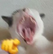 Quiteño🇪🇨 tweet media