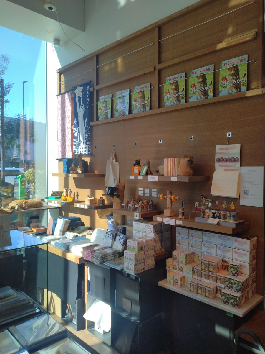 猫吉 (@nekokichi712) / Posts / X