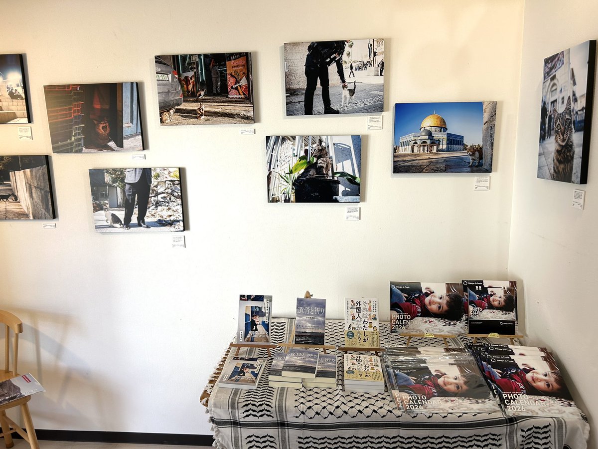 オープンしました。
本日20時まで営業しています。

昨日からいよいよ年末冬の気候となってきました。年内営業に向けて新刊入荷もたくさんあります📚

2Fでは「パレスチナと猫」写真展を開催中🐈
12/14までの開催となりますのでぜひご来店ください