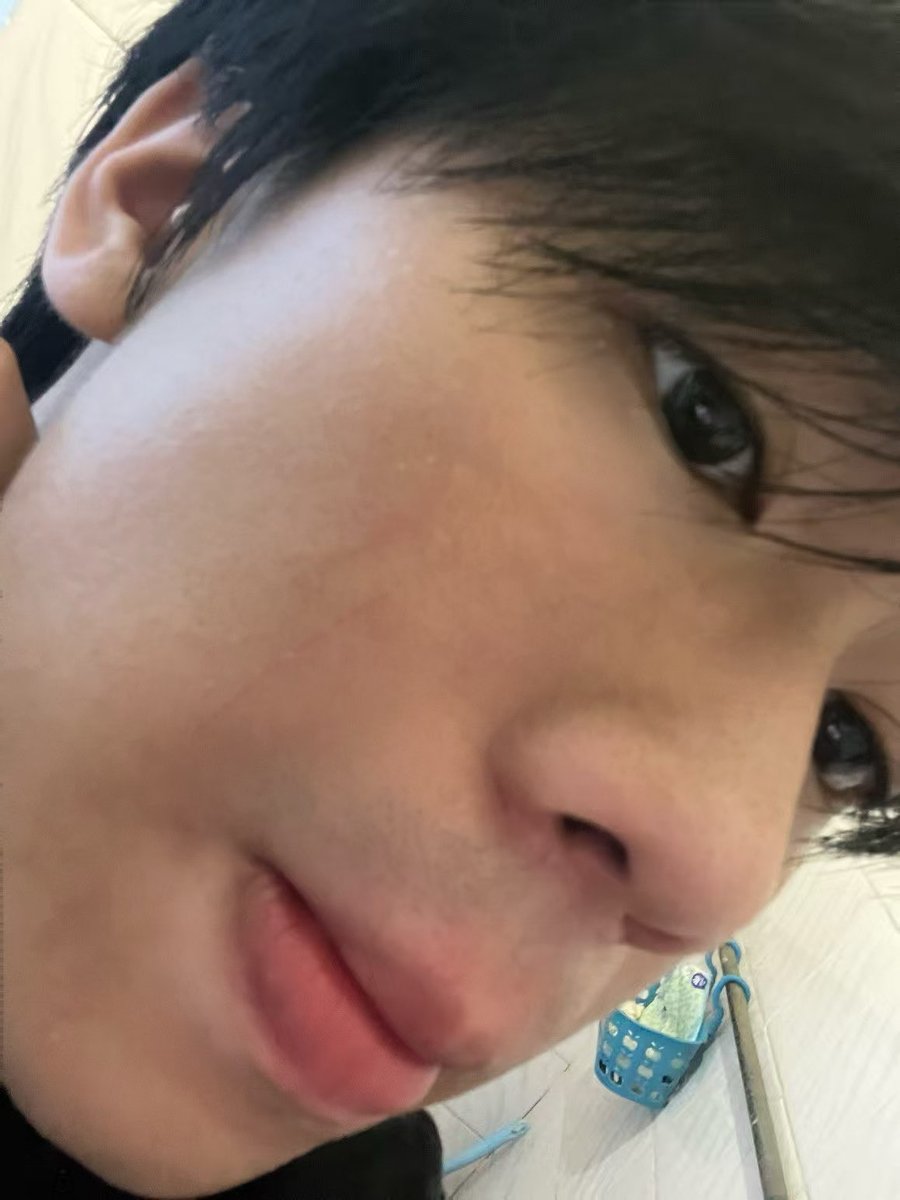 t1y4of's tweet photo. 老鼠我命令你停止挠我😅 https://t.co/LZA51r9gKx