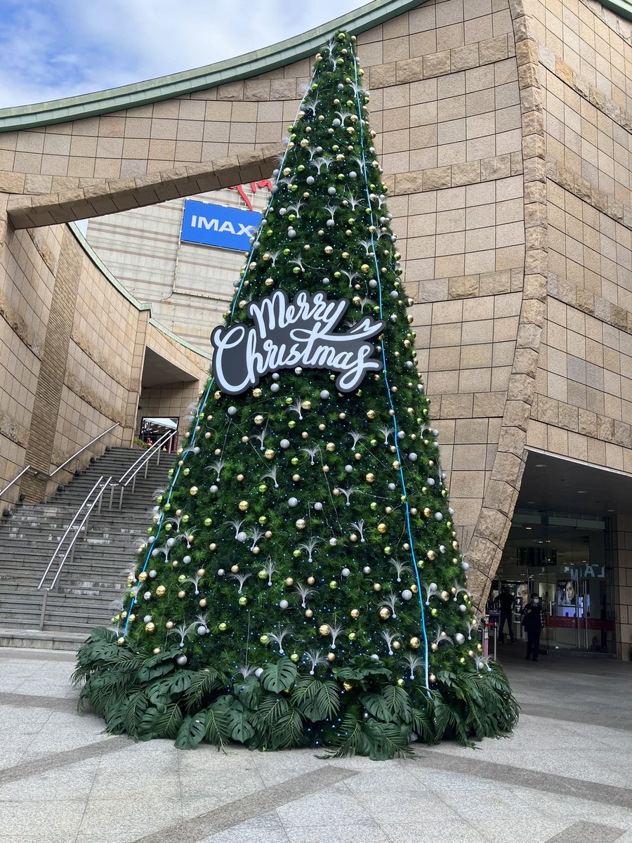 rielauhk's tweet photo. 台北のクリスマスツリー🎄

#台北　#クリスマス https://t.co/xZnq4xjyjM