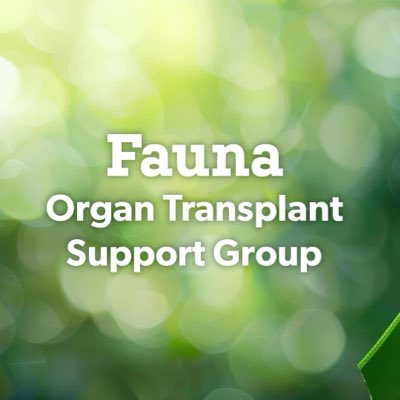 mojorego's tweet image. #NewProfilePic