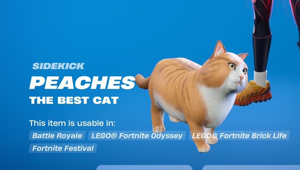 HudYT_'s tweet image. my cat is in fortnite!