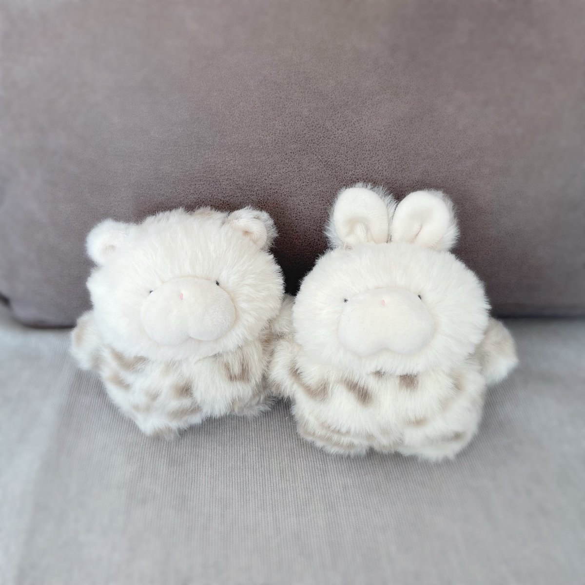 babo_collection's tweet photo. ホワイトチーターとうさぎ

#babo_collection https://t.co/rhe117omuO