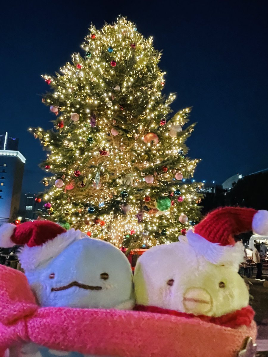 stellar_king's tweet photo. 赤レンガのクリスマスマーケット行ってきたんです🎄•ᆺ• https://t.co/DPgVr10AxS