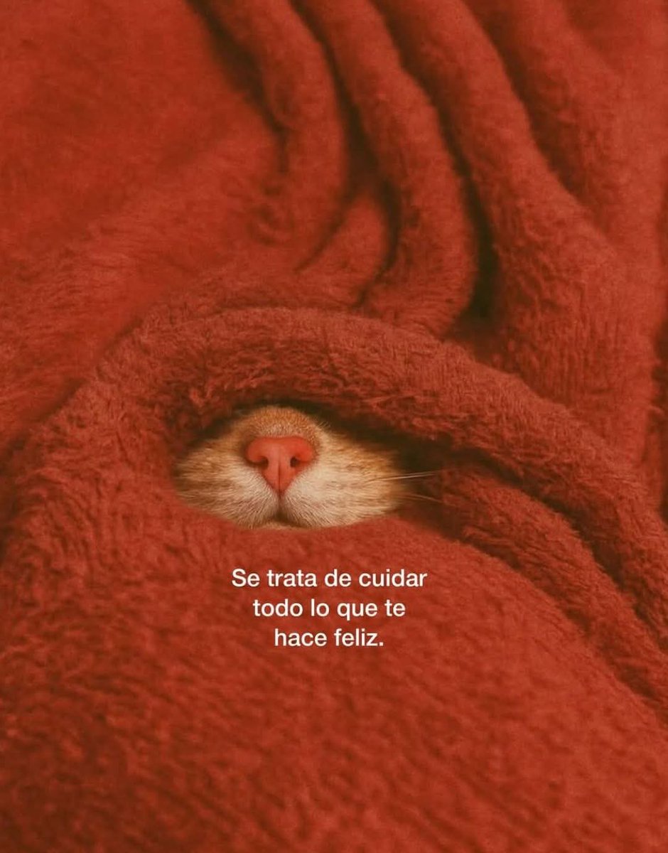 angelo_uf's tweet image. 