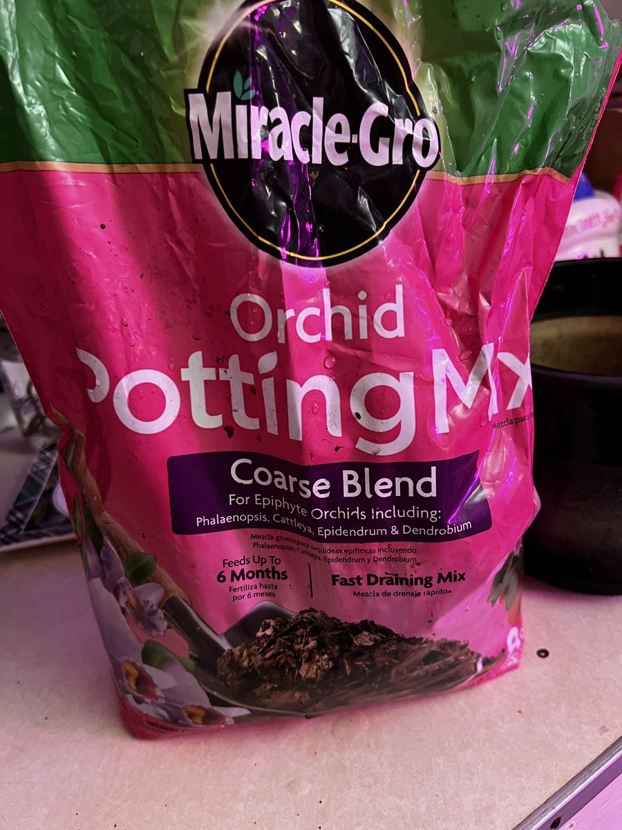 📚 Suzanne 🫎🐿️ tweet media