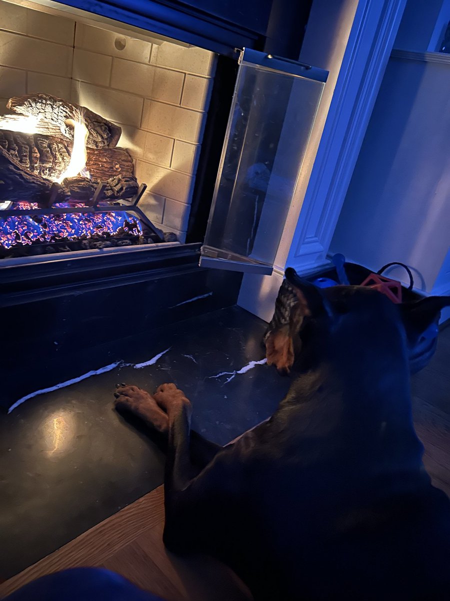 Maira Ansari tweet media