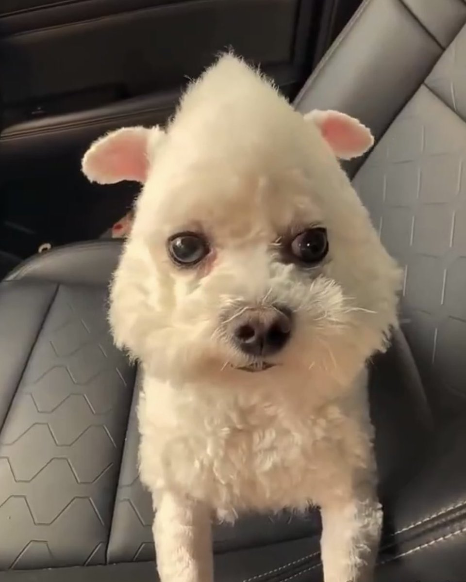 boawols's tweet photo. she wanna ride she wanna fly so i say where https://t.co/EyQn3tgrMc