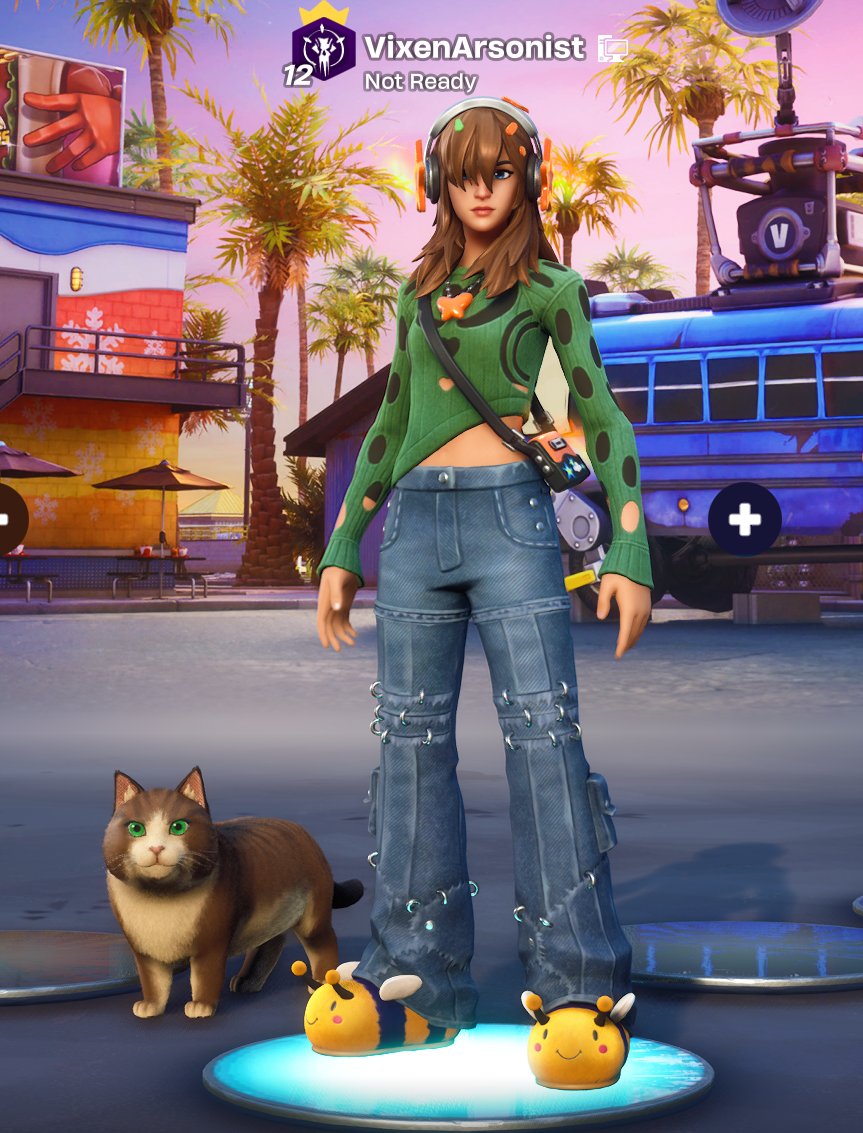 me and my cat are in fortnite now :3