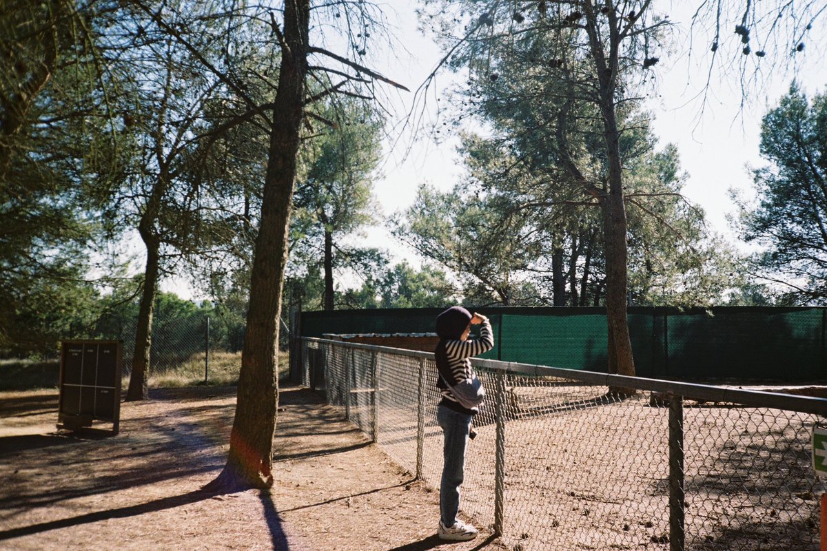 edeadd's tweet image. autumn in tls, on film (fav picks !)