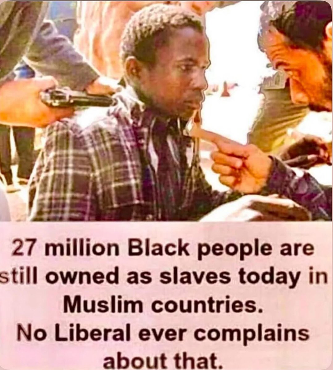 Der Kater Jimmy 😸 tweet media