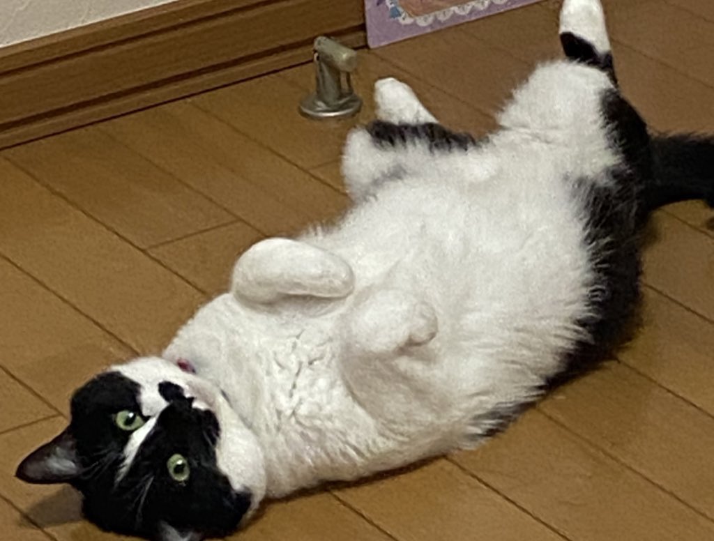 田中 にま (@tanaka112200) / Posts / X