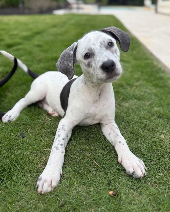 I saw this in the park after work this afternoon. Thumbs up!