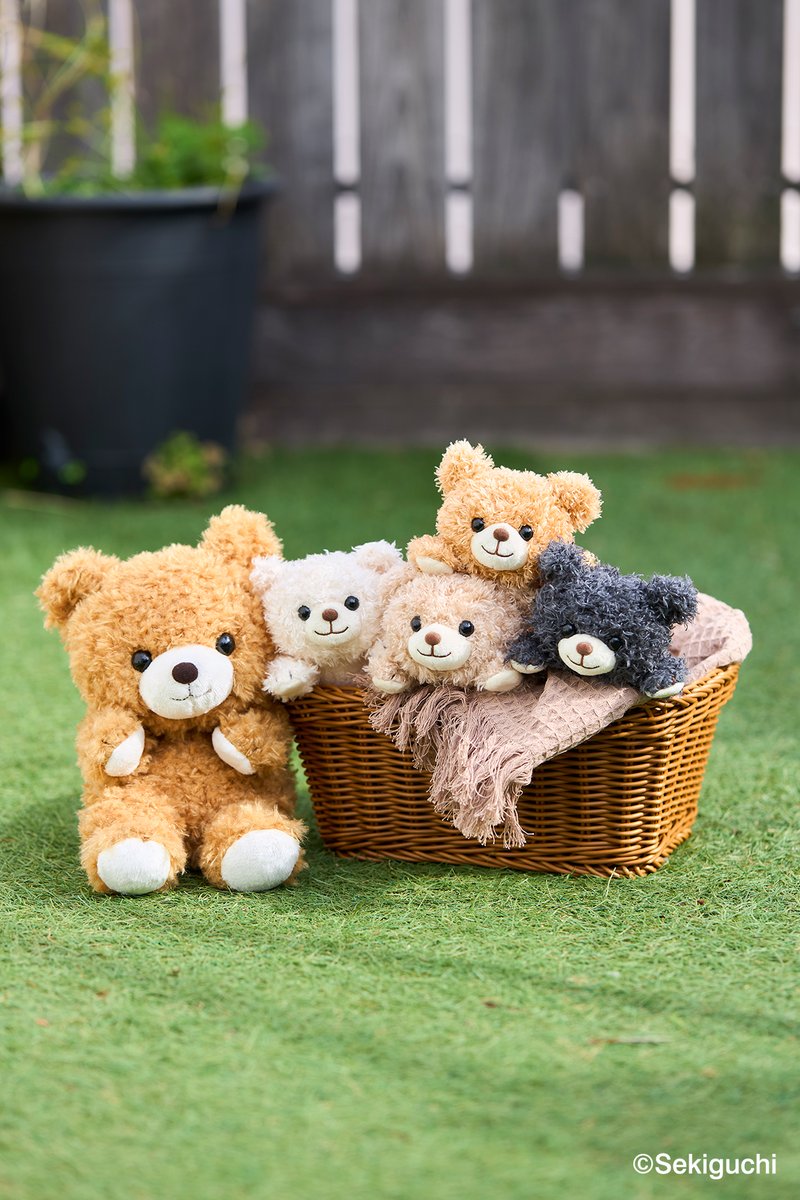 🧸「あそんで！テディベア」