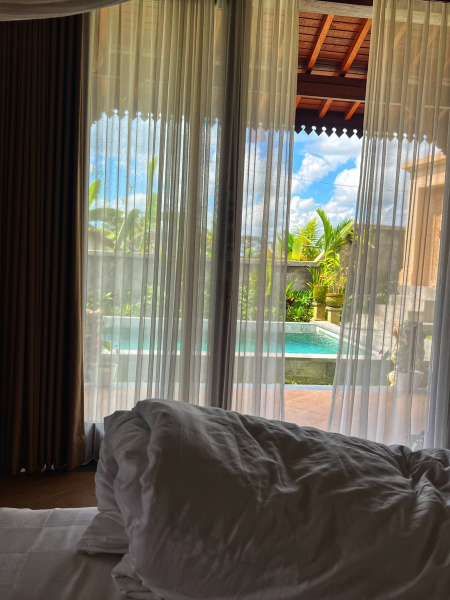 Dana Minodora tweet media