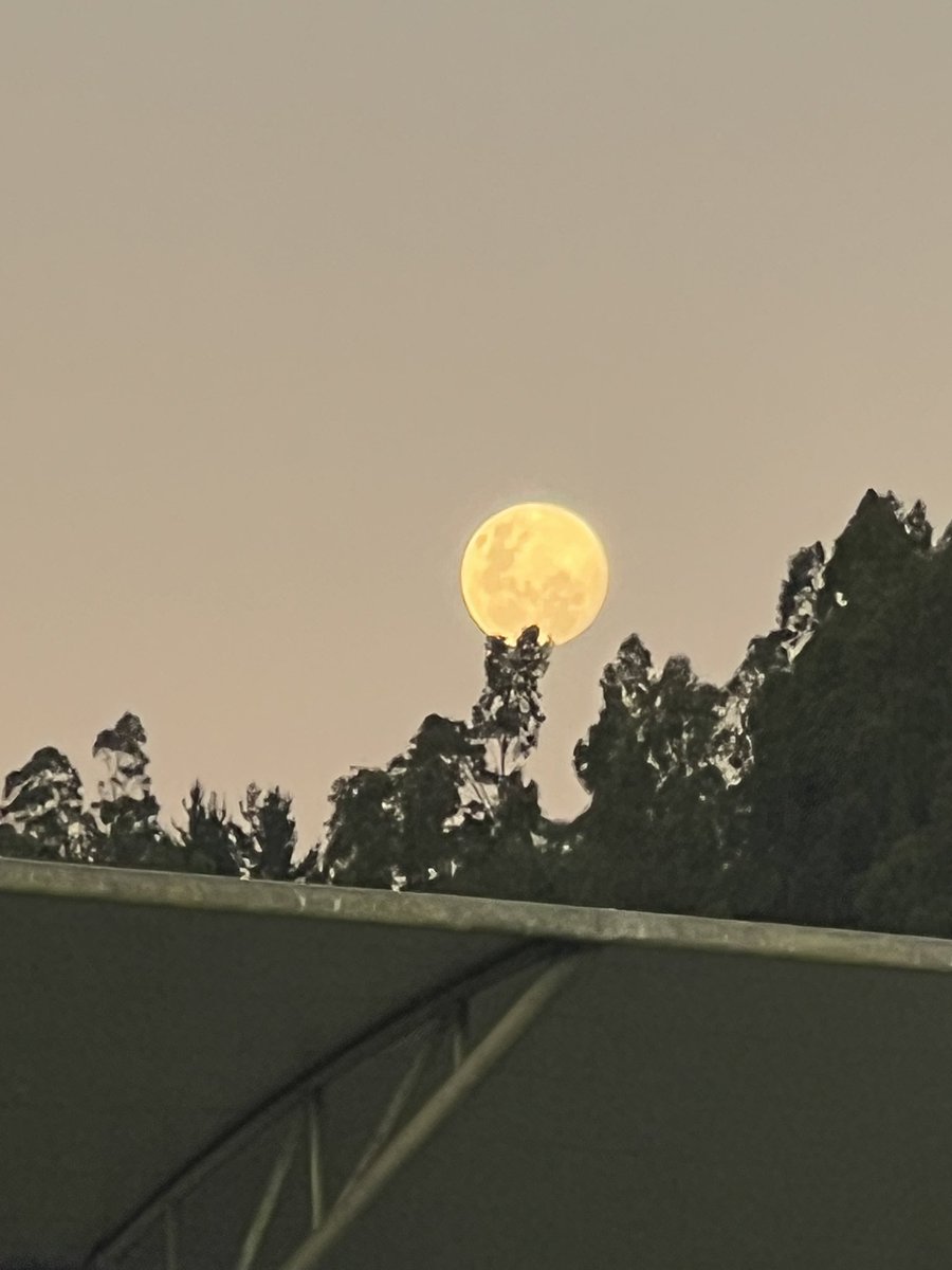 silvanasangui44's tweet image. Hasta la luna salió a ver al @elconce_cl no se pudo, pero no está muerto el que pelea! El domingo hay que ir por y con todo! Vamos #leondecollao #lilas #Concepción