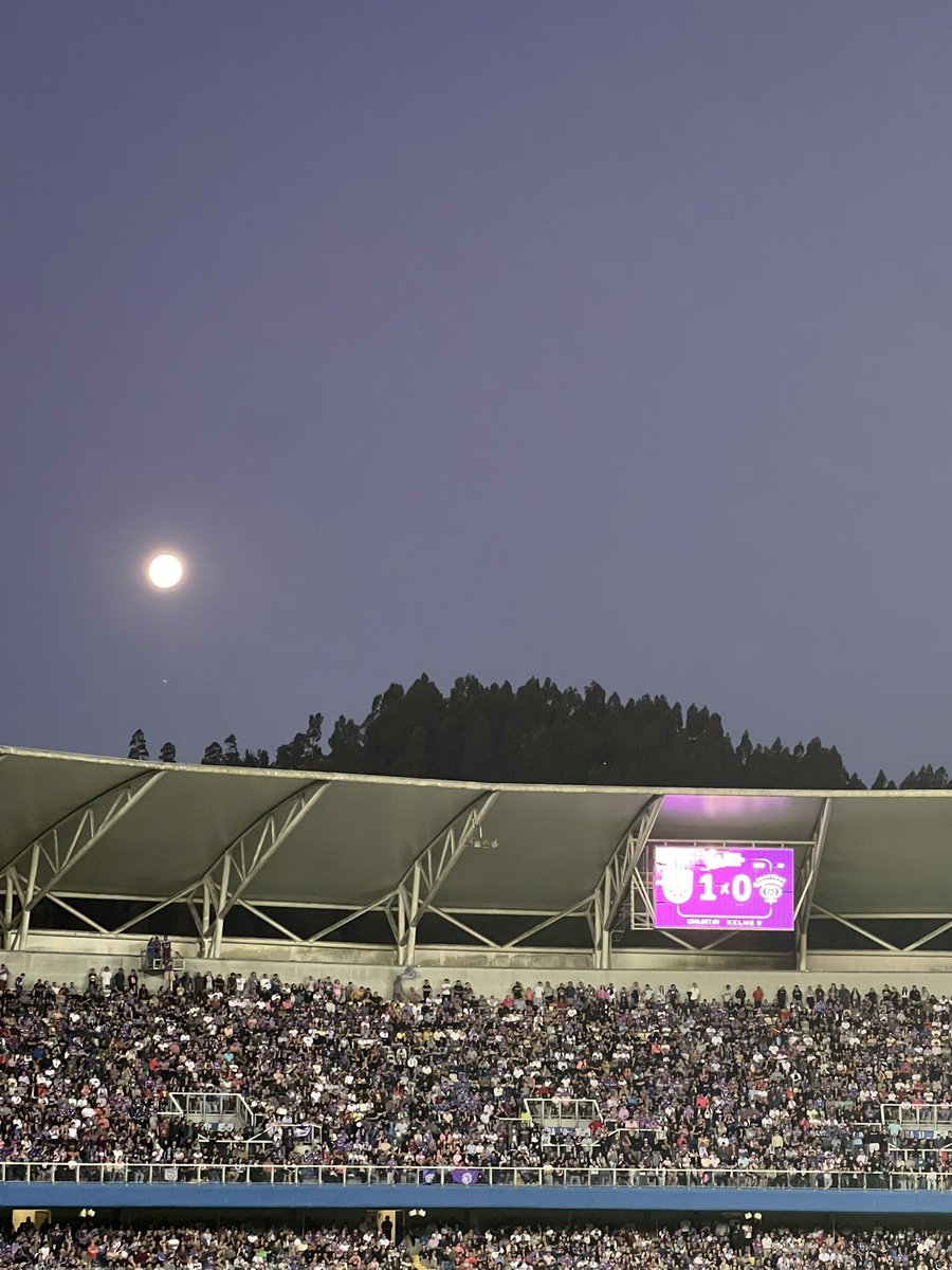silvanasangui44's tweet image. Hasta la luna salió a ver al @elconce_cl no se pudo, pero no está muerto el que pelea! El domingo hay que ir por y con todo! Vamos #leondecollao #lilas #Concepción