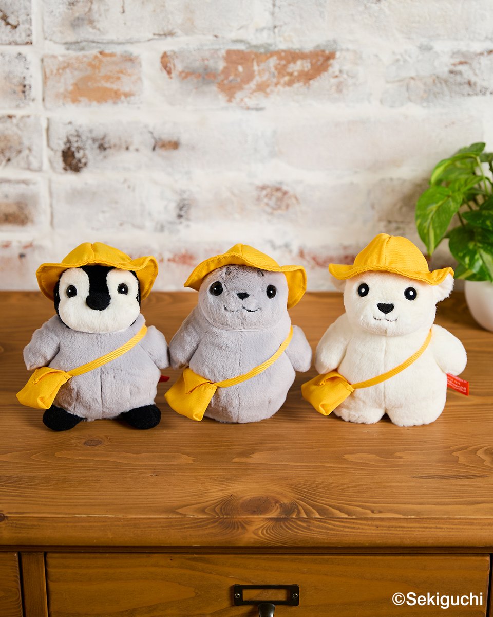 ぬいぐるみだっちゅ〜の♡ 📛「あにまるようちえん」