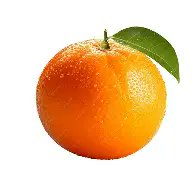 0th ✴️ tweet media