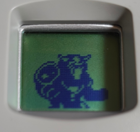 bit_games's tweet image. クイズ。これはなんでしょうか？

ないこともあるが、あるとちょっと嬉しい☺️