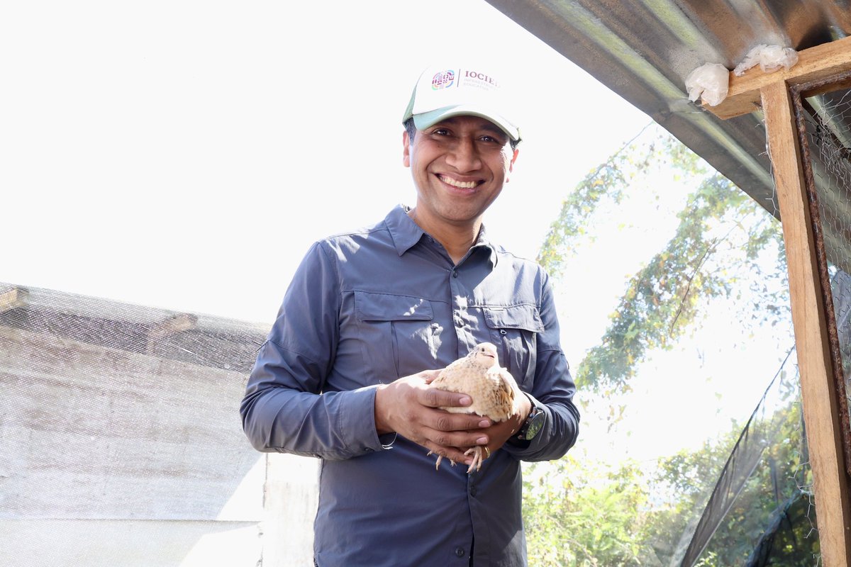 Alejandro_ALJ's tweet photo. ¿Les gusta la codorniz? 🐦Alejandro, Froylán, Ana Vanesa y Wendi Aní, estudiantes de la Ingeniería en Manejo de Recursos Naturales de la #UTSSO, están desarrollando un proyecto de producción de codorniz. ¡Mucho éxito!👏 https://t.co/A84x1aPZIQ