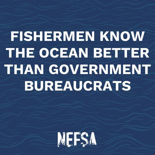 Save the East Coast tweet media