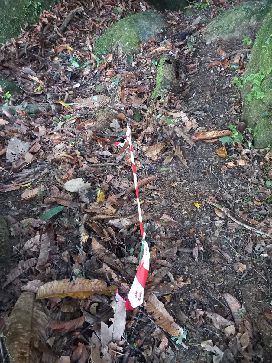 Petr Heděnec tweet media