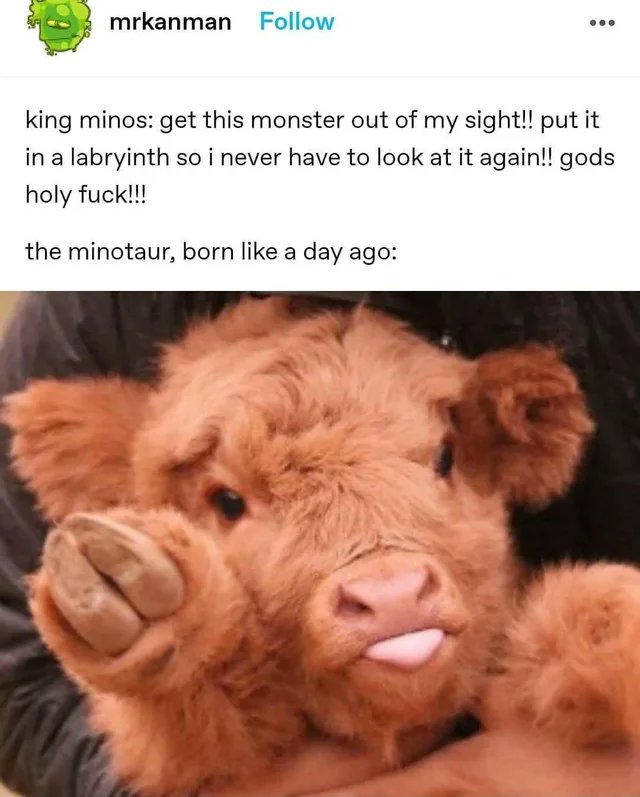 Images AI Could Never Recreate tweet media