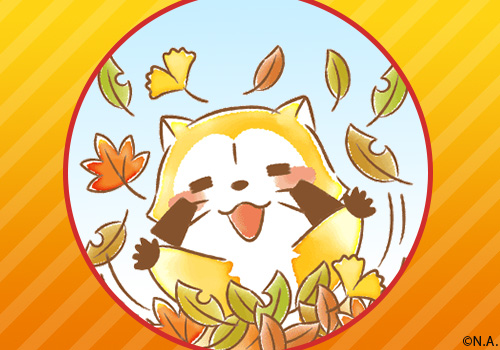 ラスカルSTAFF🌽 (@Rascal_Staff) / Posts / X