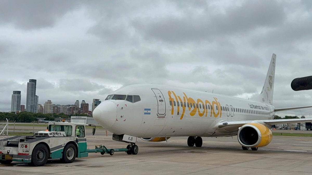 Delphos Magazine tweet media