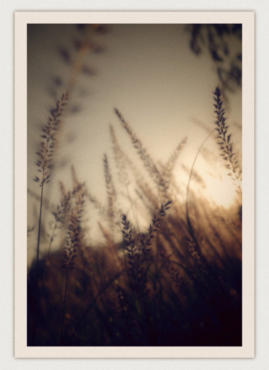 ありんこ (@_taru_tata) on Twitter photo 