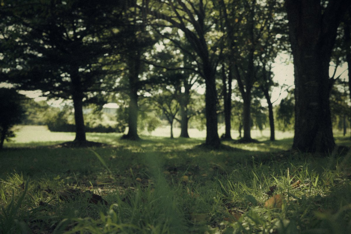 ありんこ (@_taru_tata) on Twitter photo 