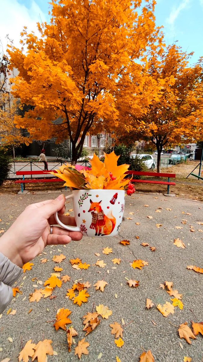 ch613ch's tweet image. Can I get a GM?