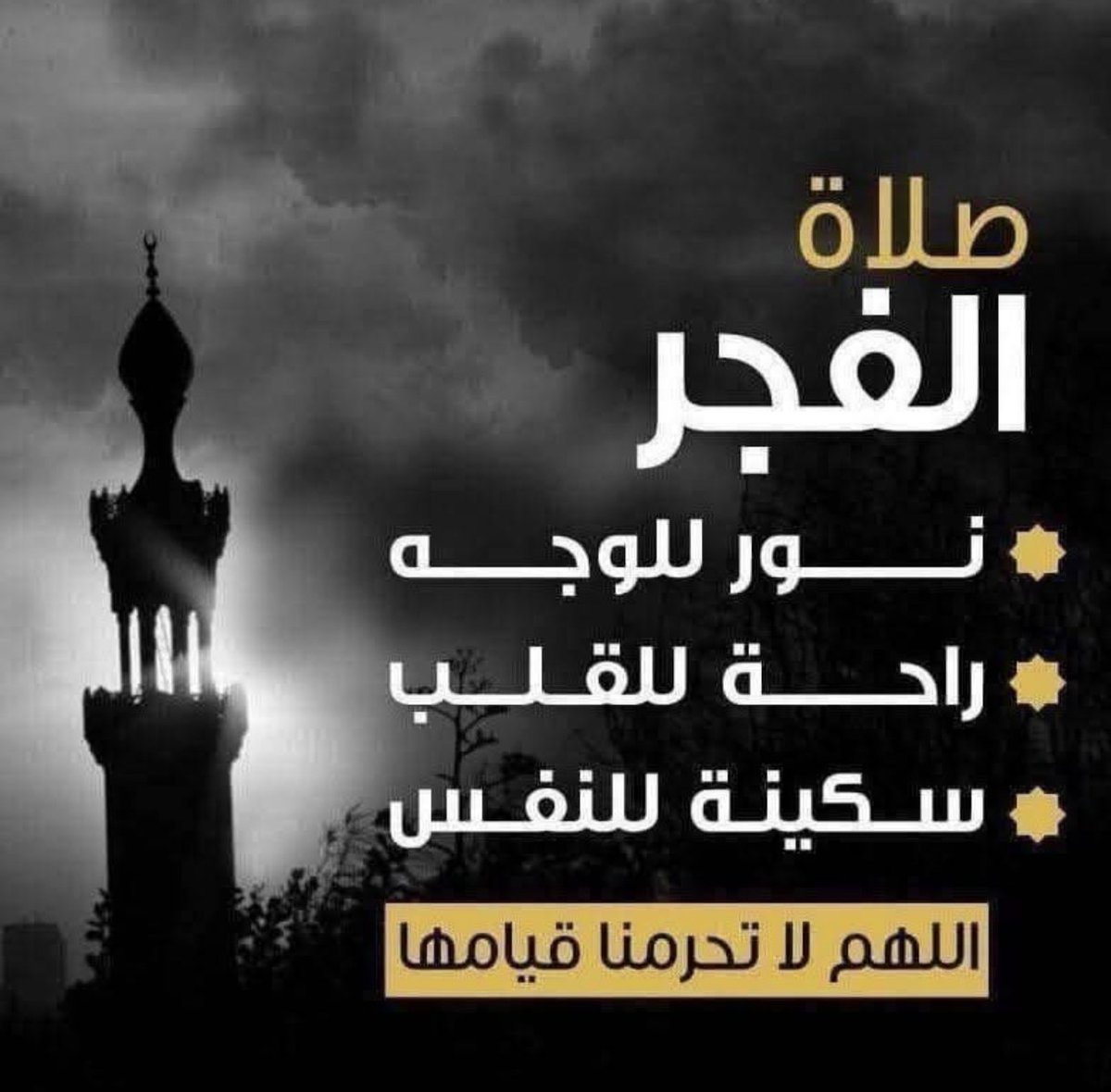 محروم من يسهر علي شبكات التواصل واذا اقترب وقت 
صلاةالفجر ثقل رأسه وغمضت عينه

المعـــروف يبـقى  والوفــاء لا يضيع 
 وصنائع الخير ترجع لأصحابها وإن طال الزمن  وعند الله لا يضيع مثقال ذرة.

أول جولة في اليوم بين العبد وبين الشيطان هي في صلاةالفجر فمن انتصر فيها بورك له في يومه