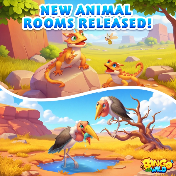 【Official】Bingo Wild tweet media