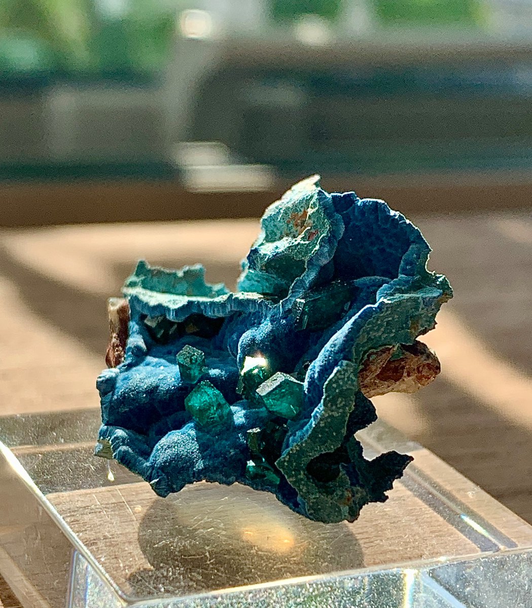 これなんかすっぎょし！珍しいルチルたん！何コレ？チン◯景 コビグリ (@kokubunbunbun) / Posts / X