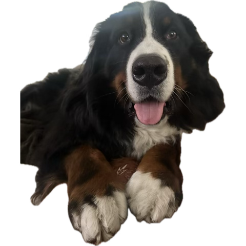 The equivalent of a +1500 leg comes through INSTANTLY with the Nembhard double-double 👀

Can Marshall + Ware finish this off for the first DUKE NUKE?! ☢️