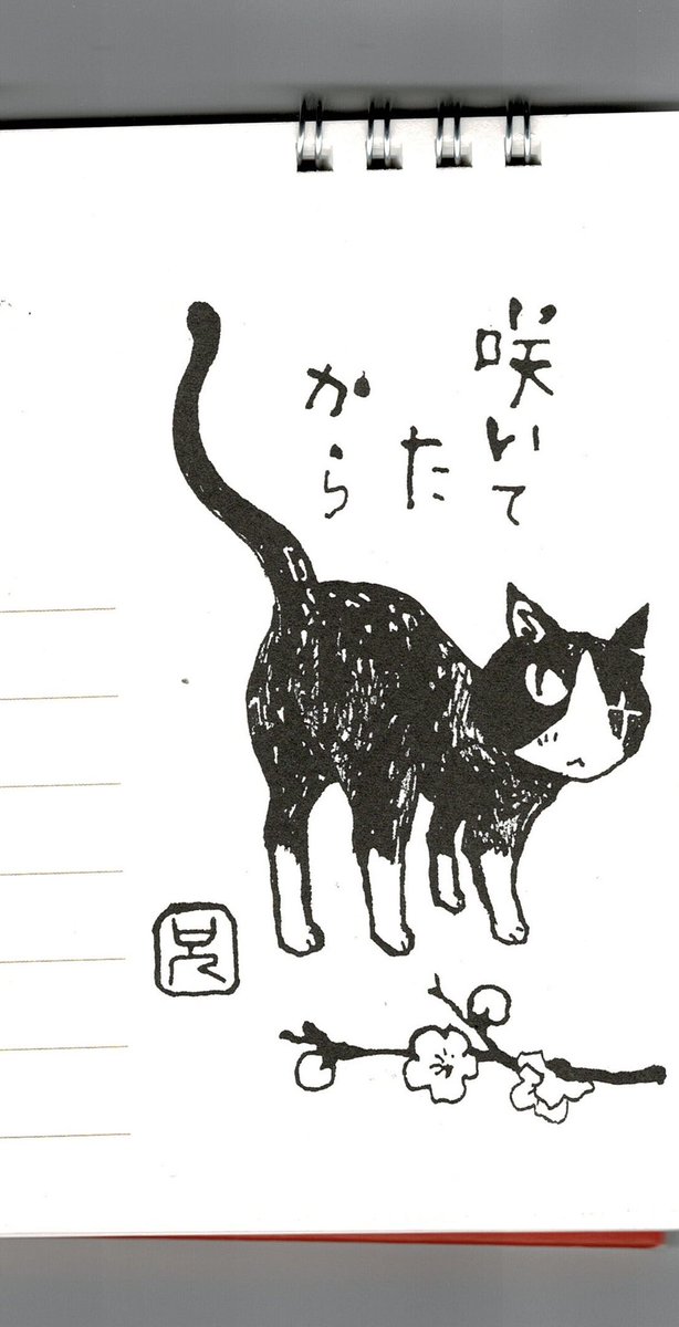 こんにちは 近所の道路脇に大木がありました 最近、消えてました