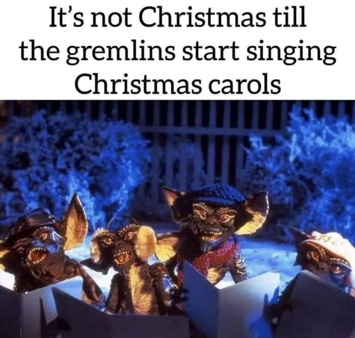 2ndaryProtocol's tweet image. 