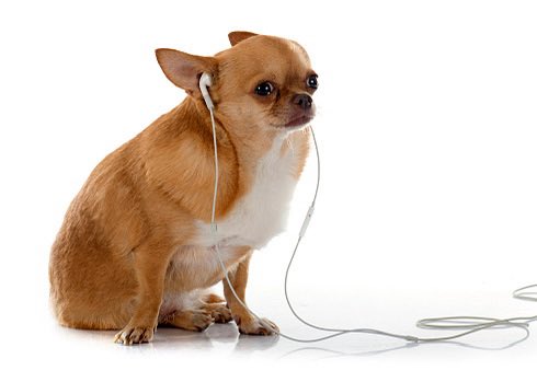 Pensaba en que Spotify Wrapped muestra estadísticas de lo más escuchado (evidencia de lo que nos gusta, sí), pero en mi conteo no salió la canción que descubrí y me hizo llorar, la canción que me recuerda a mi papá o la canción que me da paz cuando todo es incierto.

Y qué bueno.