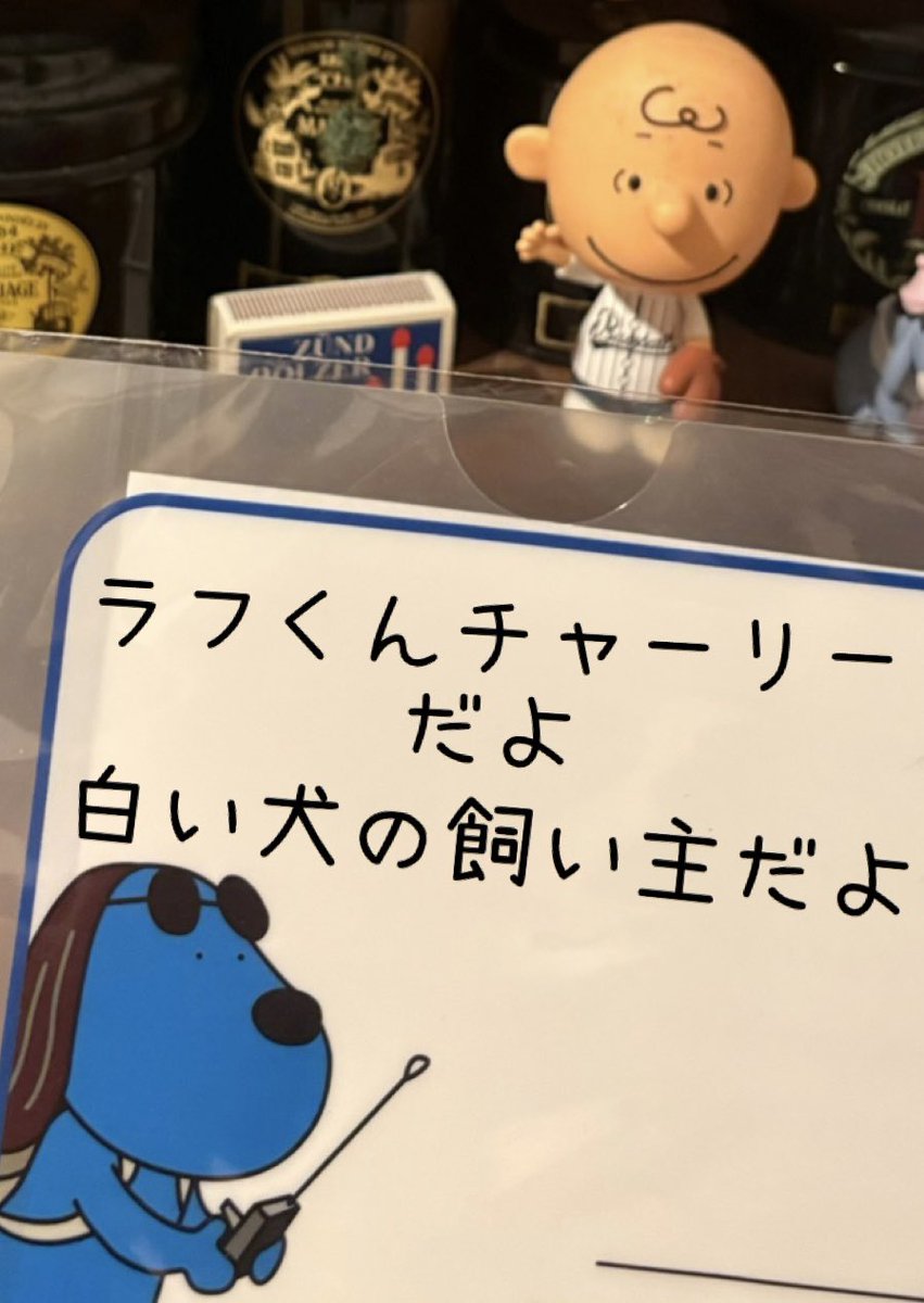 使わないかもなぁ〜と思ってたラフくんのクリアファイルがカリスマックスな蓮くんのコスプレのお陰で急に宝に変わりました
そしてそしてラウールくんの軽部さんも良かった😆
めざましでも沢山取り上げて貰えたし🙏
SnowMan最高！！
#FNS最強カリスマックス 
#めめラウ
